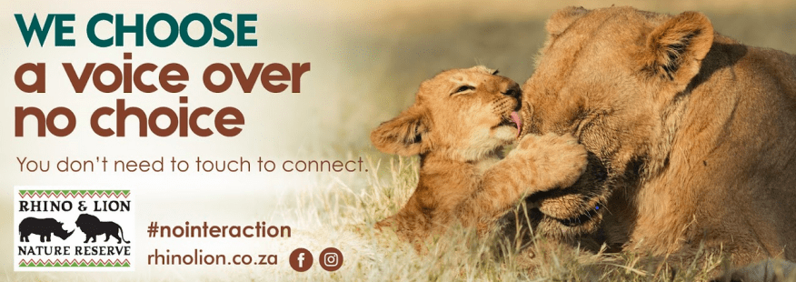 Open Letter to Rhino & Lion Nature&nbsp;Reserve