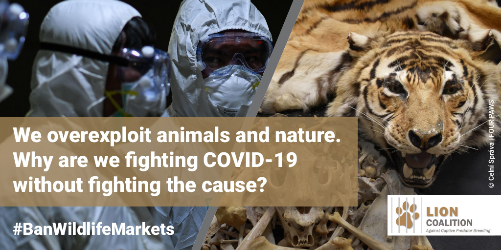 WHO calls on global governments to ban the live sale of wild mammals in food&nbsp;markets